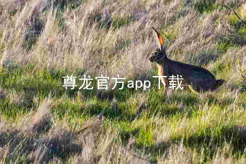 尊龙官方app下载