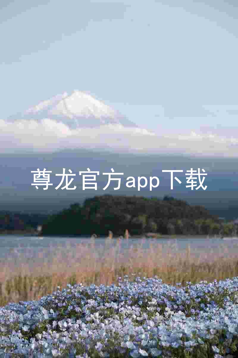 尊龙官方app下载