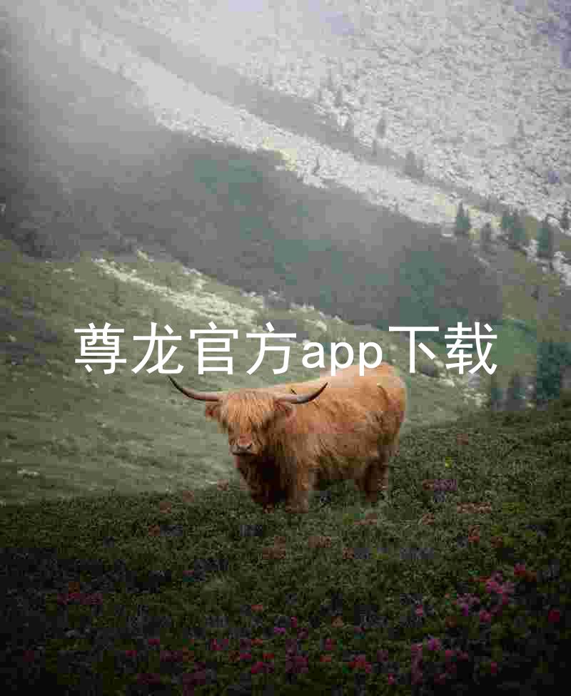 尊龙官方app下载
