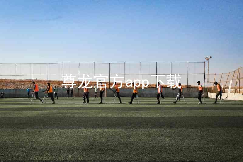 尊龙官方app下载