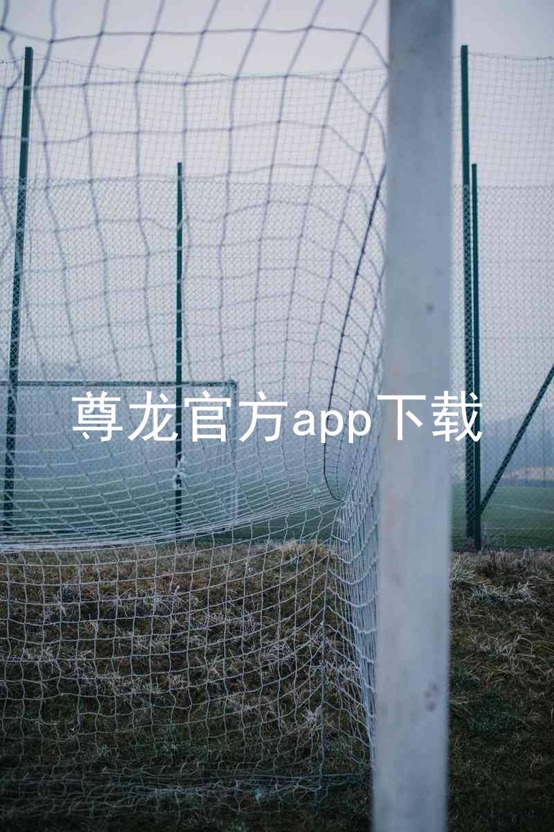 尊龙官方app下载